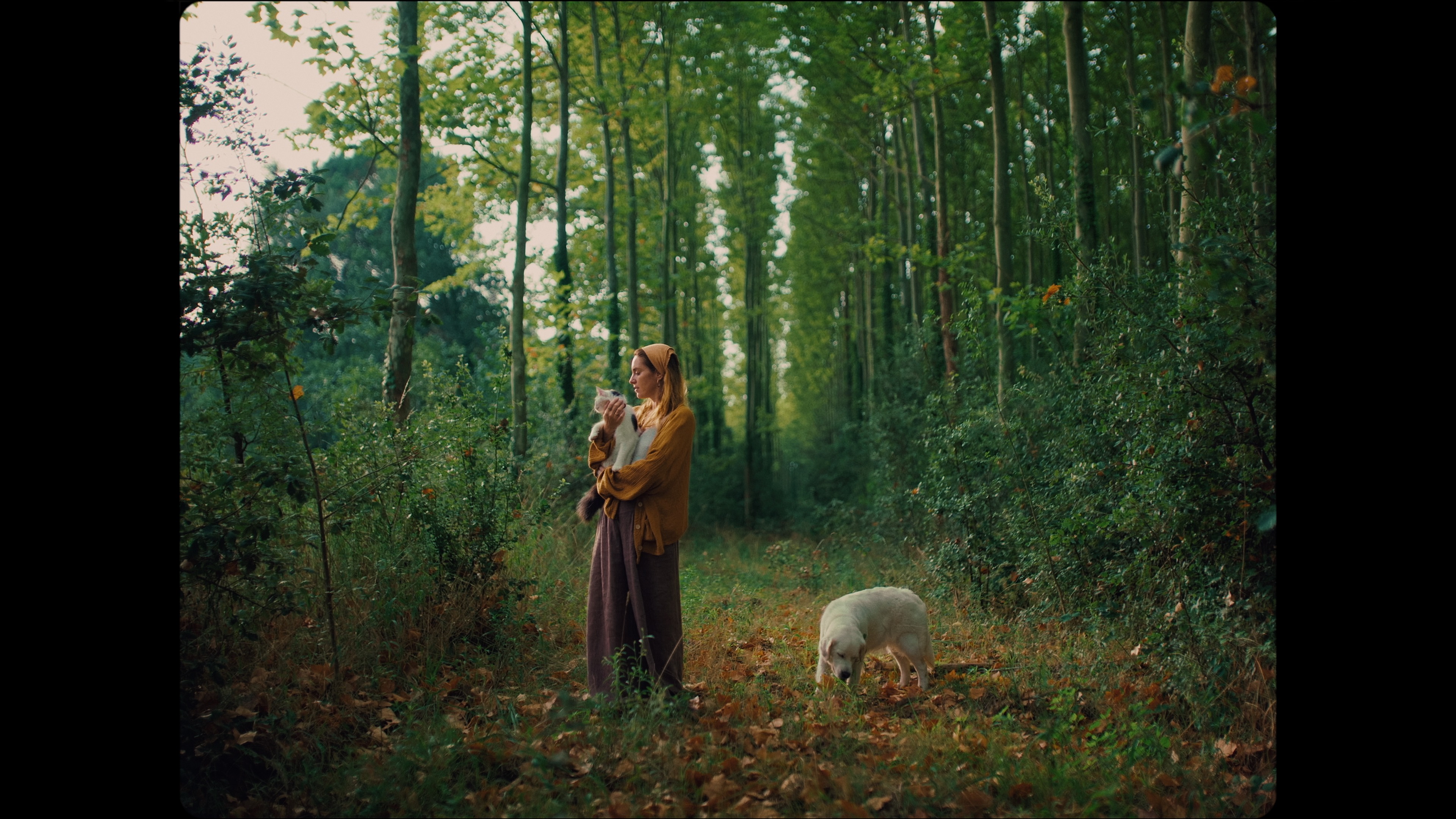 The Dormant Seed: A Journey to Cinematic Clarity with Jacopo Ficulle